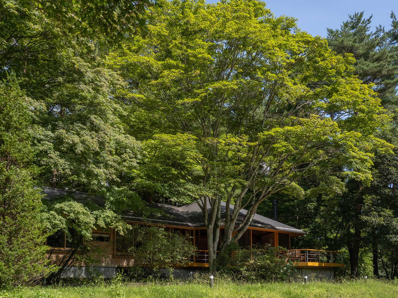 森の中のゲストハウスⅡ