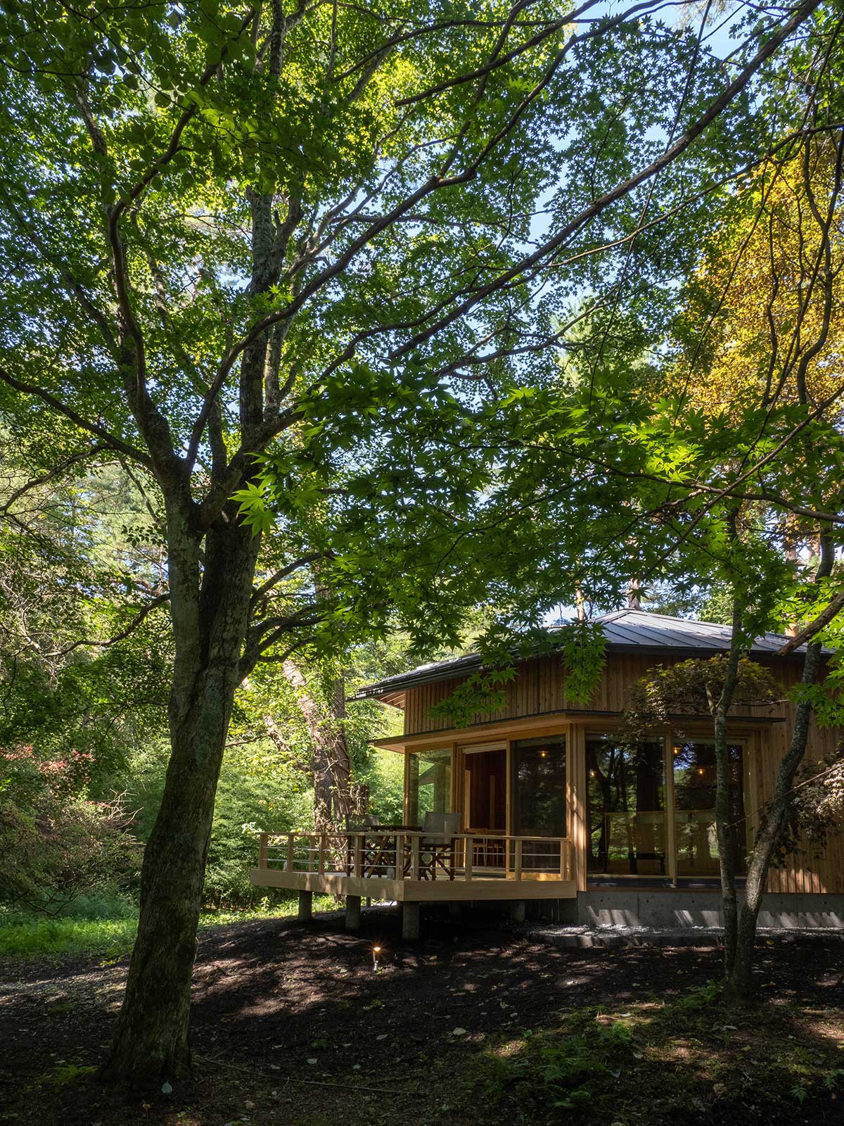 森の中のゲストハウスⅢ